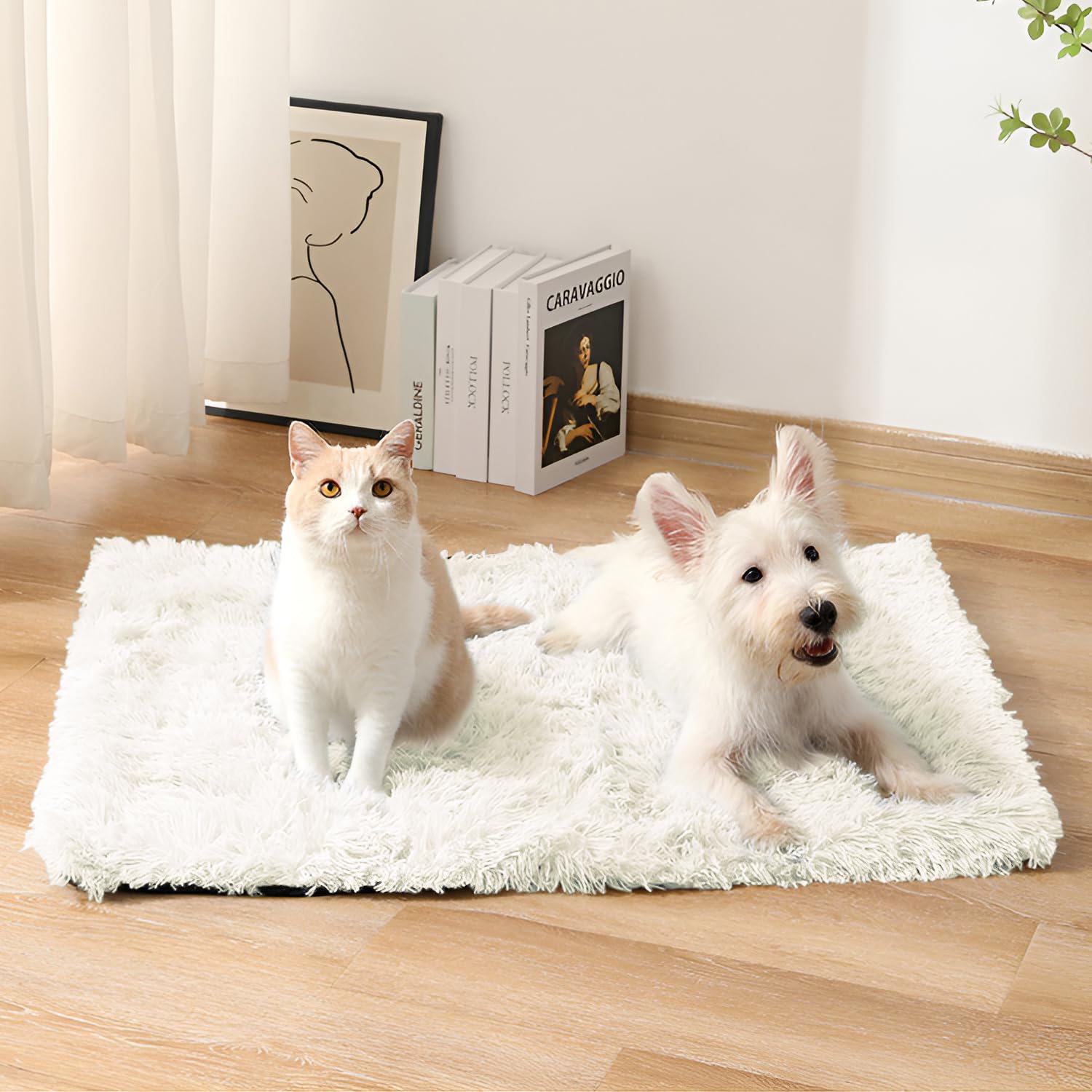 Couverture pour Chats et Chiens, Petite Couverture Chat, Chaud et Confortable, Réversible & Lavable, Tapis Doux pour Animaux 80 x 53cm, Le Confort pour Le Chat et Chien (Blanc)