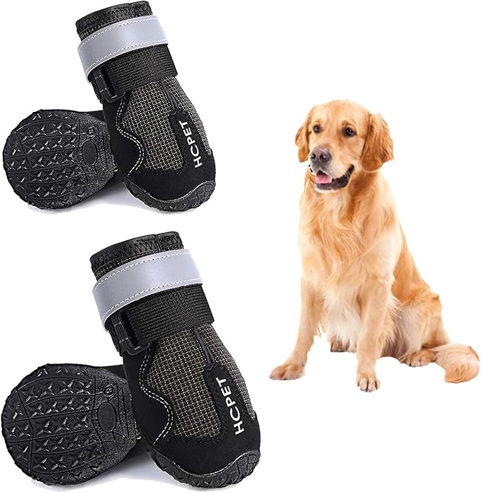 dog surgical boot