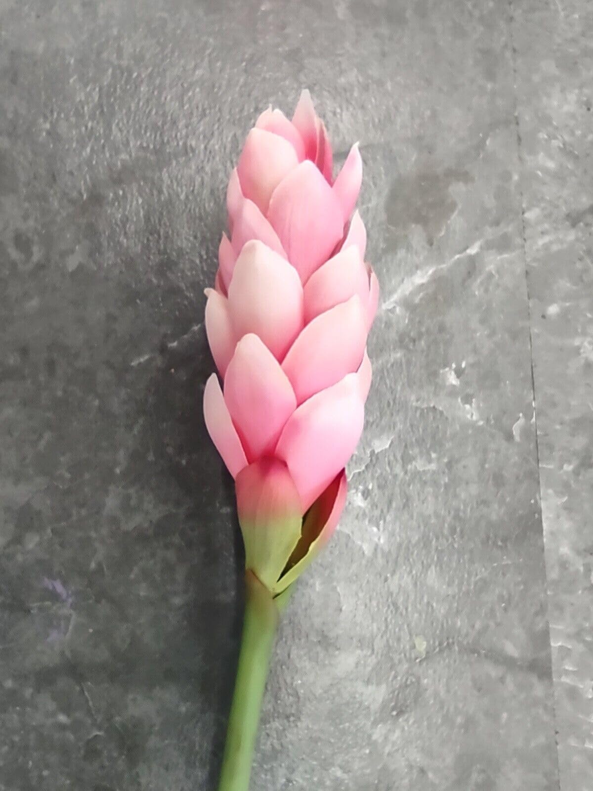 Ginger Lily Stem. Silk Arrangements Tropical Hawaiian Flowers Pink