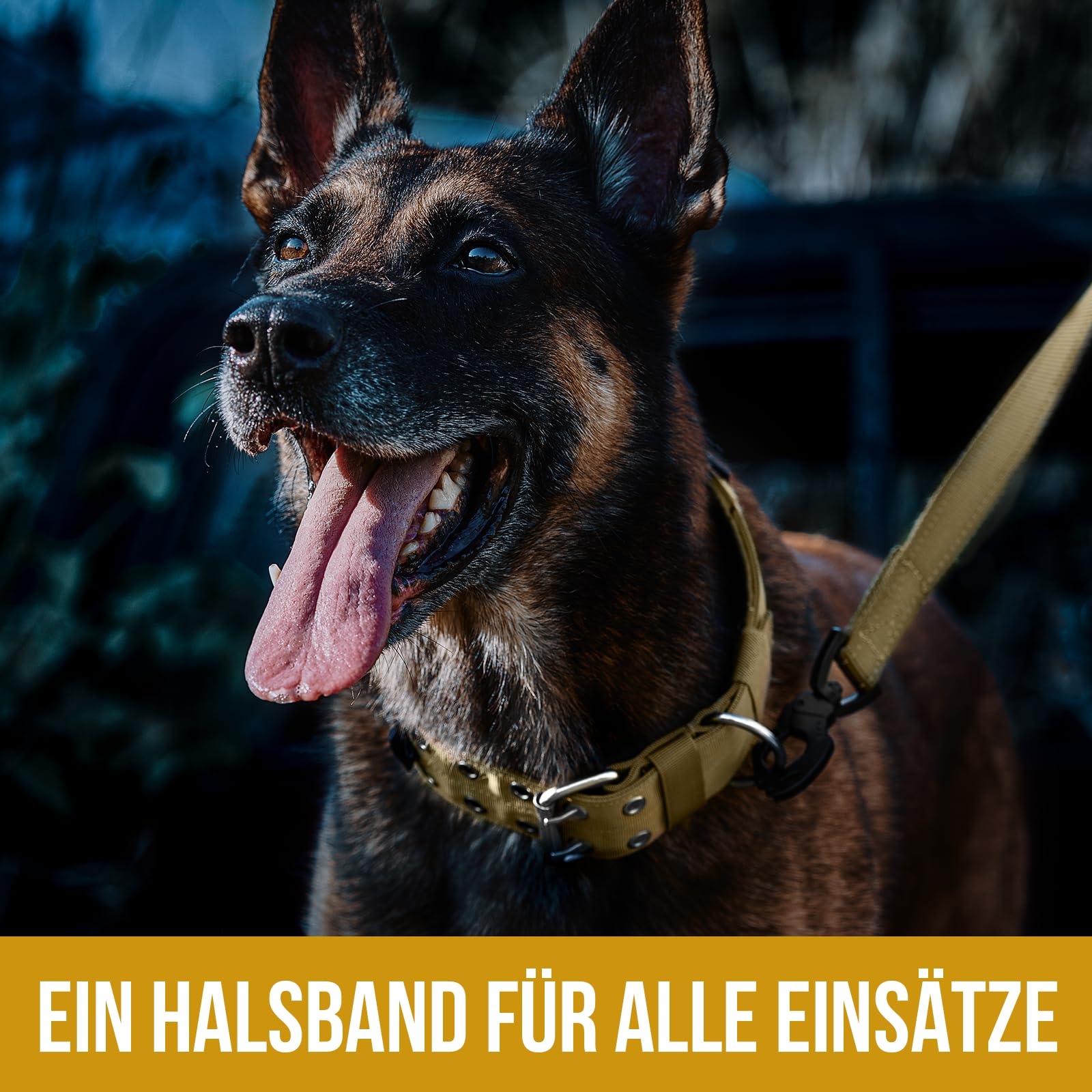 OneTigris Collier pour Chien de 5 cm de Large avec Poignée et Patch pour Grands Chiens - Marron - Taille L