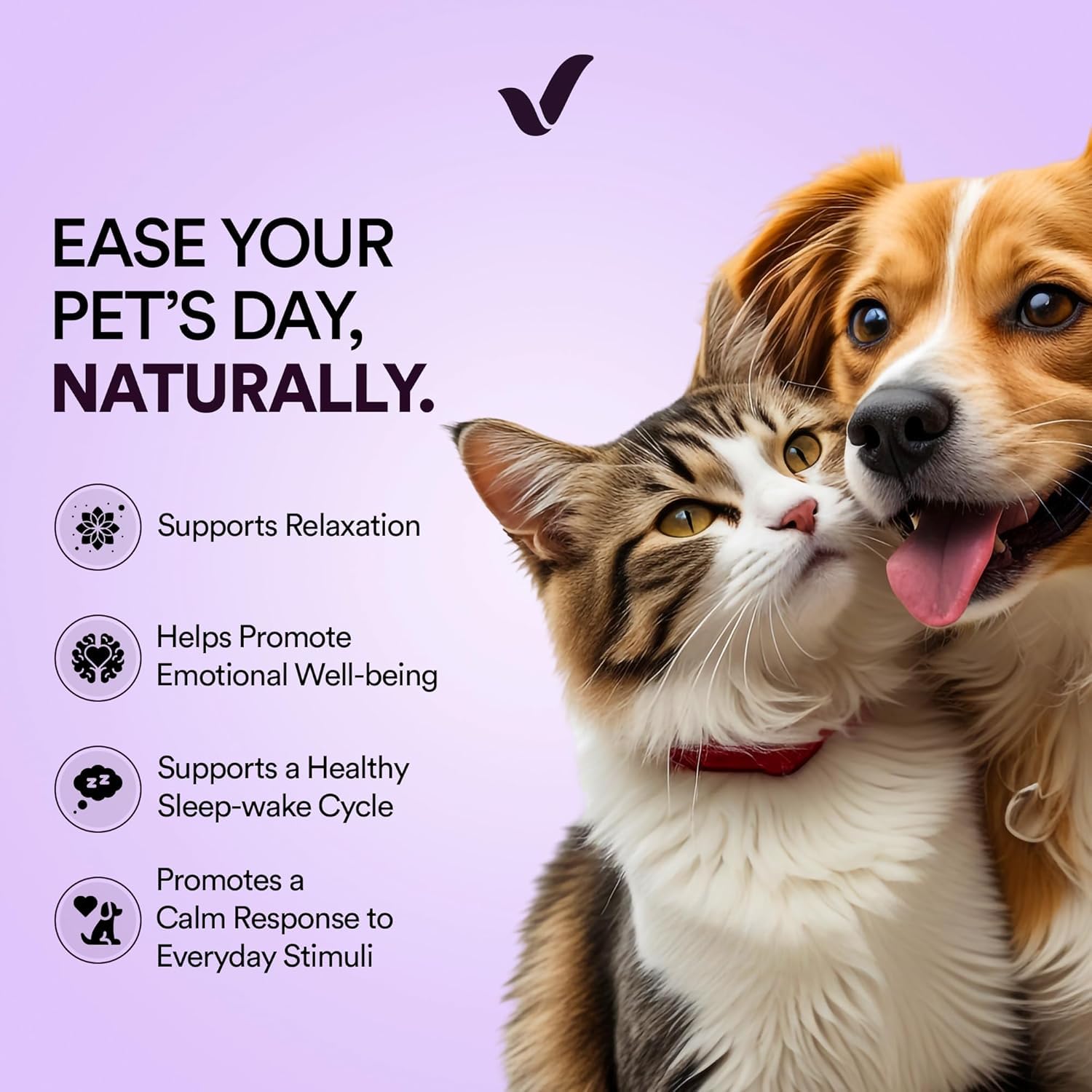 Vitricion Pet Calming Oral Thin Strips with L-Theanine, Tryptophan, Chamomile and Melatonin for Dogs and Cats | 30 Strips | Enhances Relaxation, Anxiety and Stress Relief, Non-Drowsy 2
