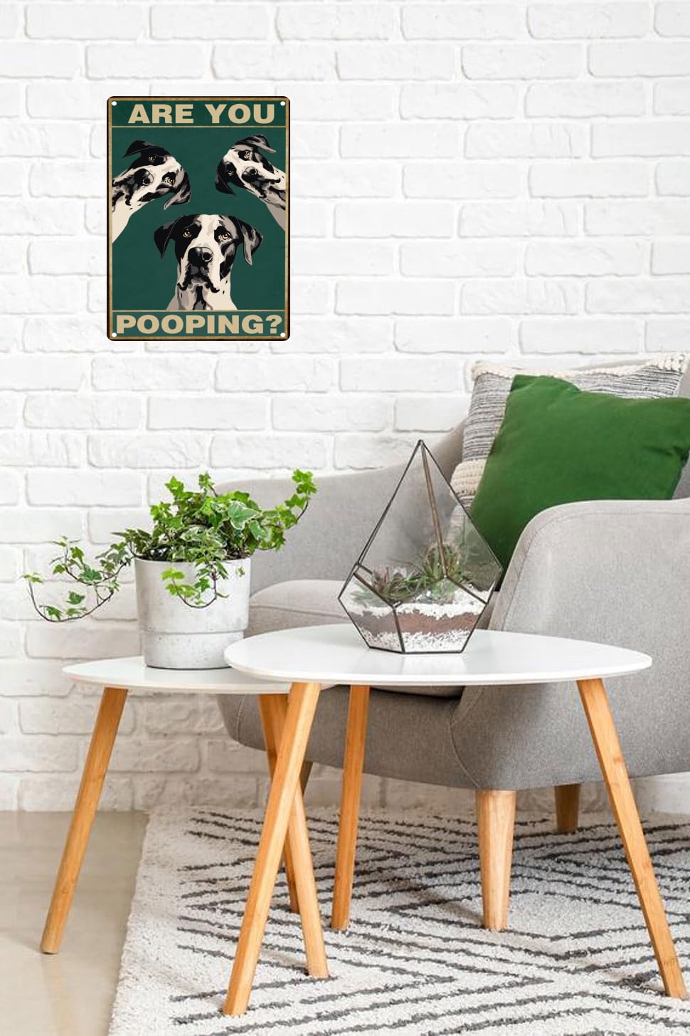 Amazon.com: TopPacific Great Dane Dog 12x8 inch Are You Pooping