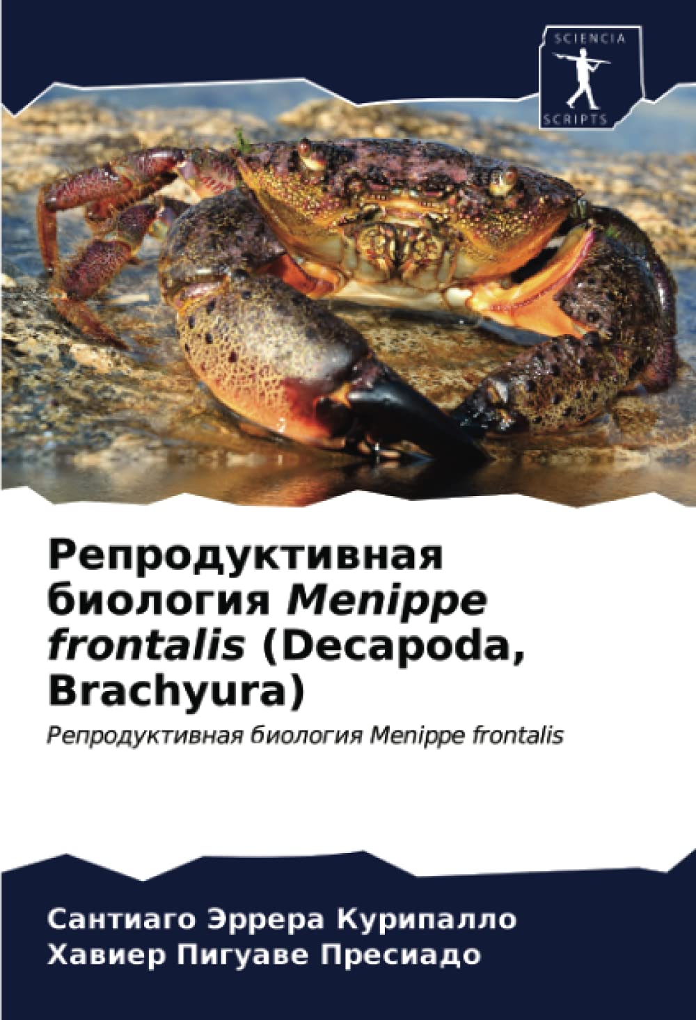 Репродуктивная биология Menippe frontalis (Decapoda, Brachyura): Репродуктивная биология Menippe frontalis (Russian Edition)
