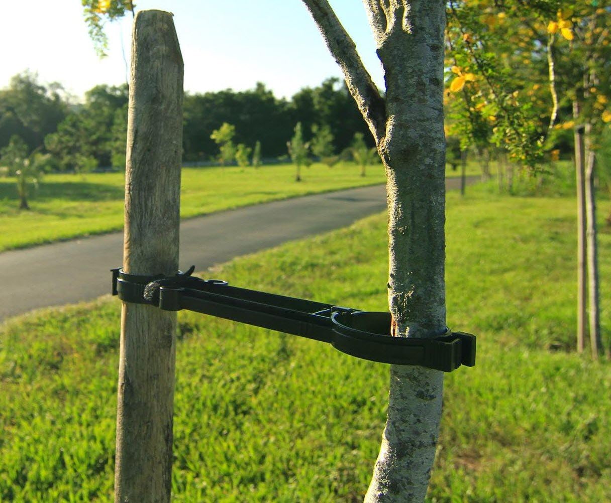 Amazon.com: New Tree Support - Use one stake - Simple to apply - Easy ...