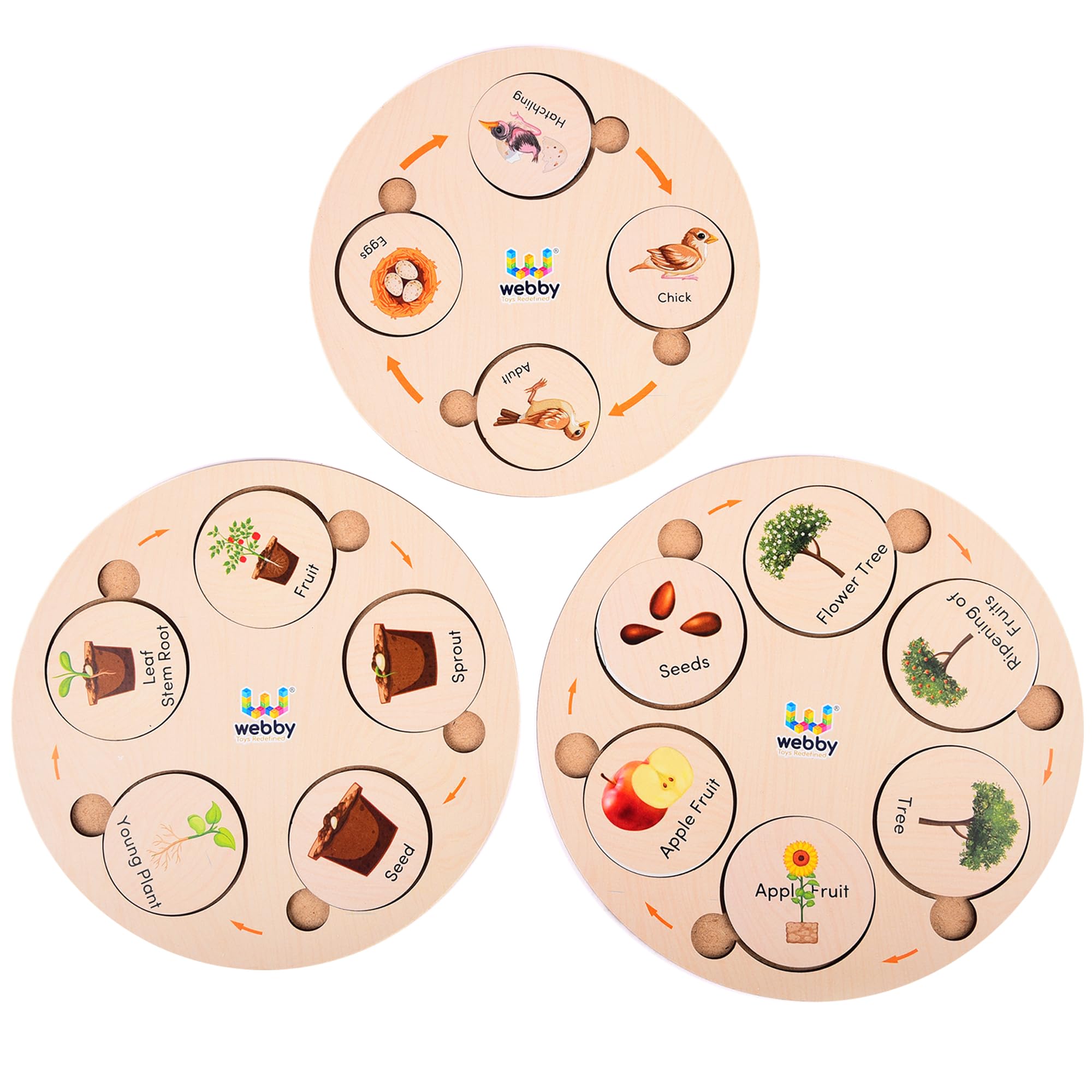 Webby Life Cycle Educational Game | 3 Wooden Puzzle Boards with 4,5 and 6 Slots | Learn 15 Life Cycles | Fun Educational Montessori Preschool Game for 4+ Yeras Kid (75 Pieces)