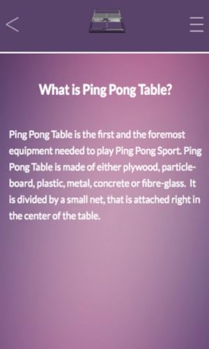 Ping Pong Table