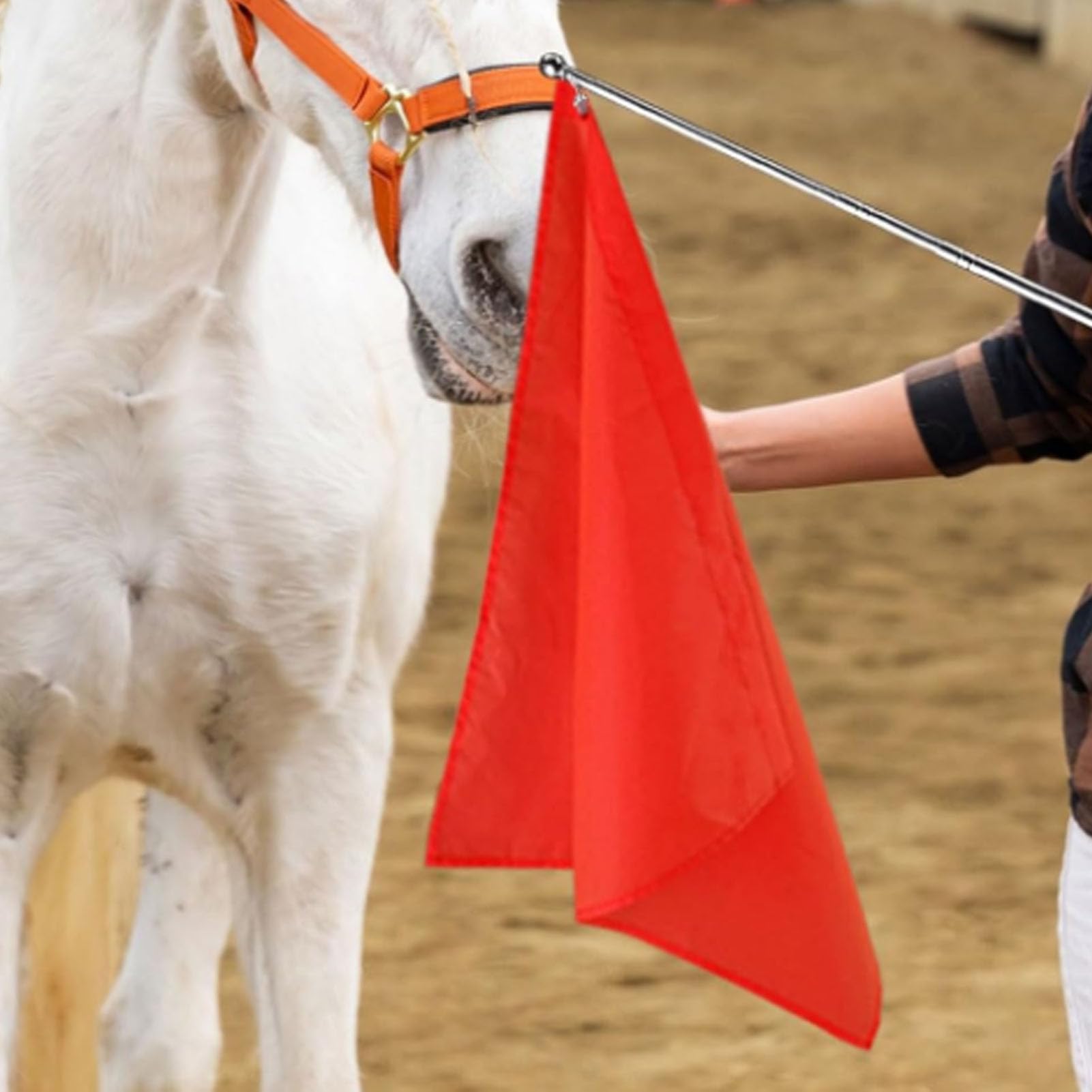 Drapeau d'entraînement équestre Portable en Nylon pour Chevaux, 2 Pièces