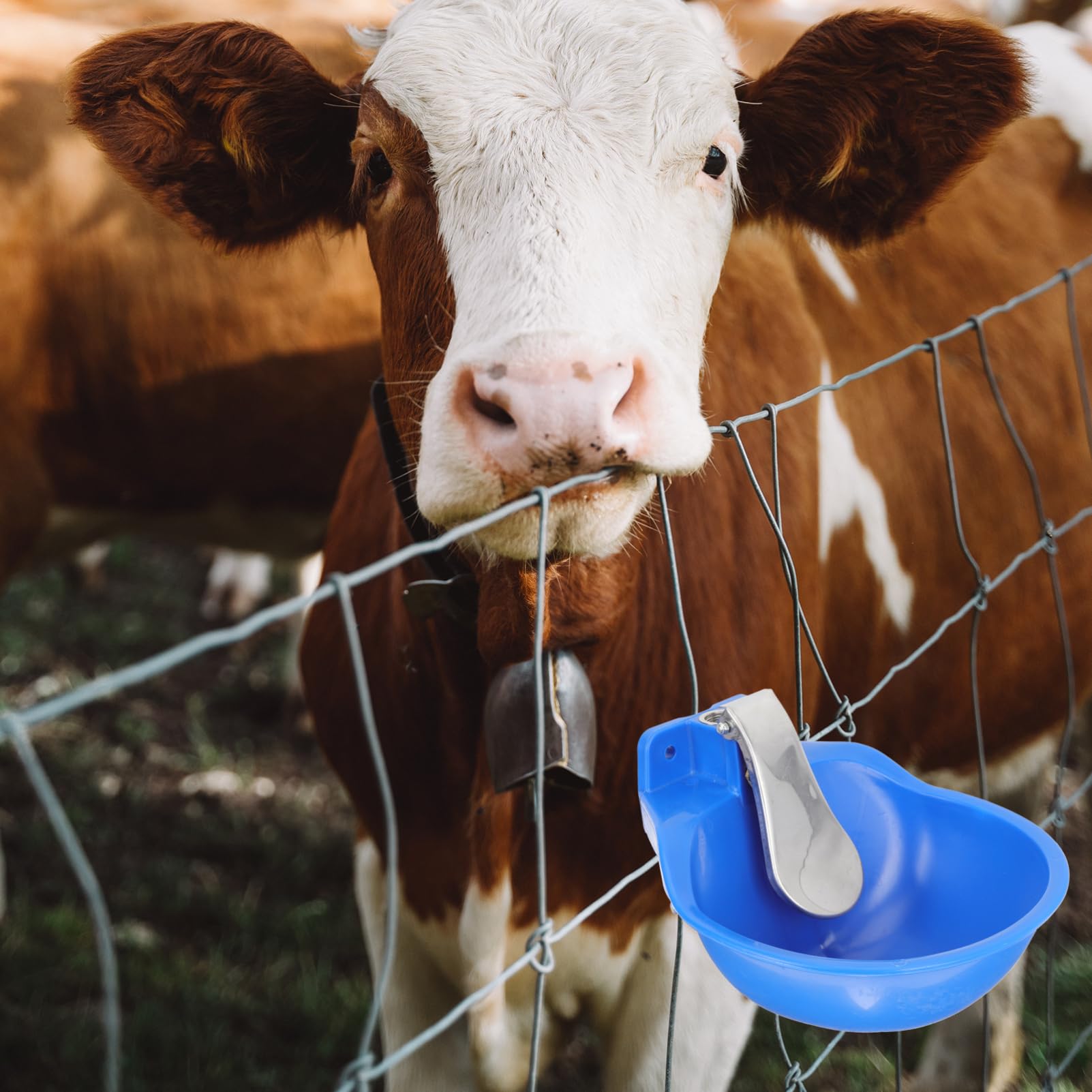POPETPOP Fuente De Agua Potable Automática Para Ganado Comedero Para Vacas De Acero Inoxidable Bebedero Para Granja Sistema De Abrevadero Para Aves De Corral