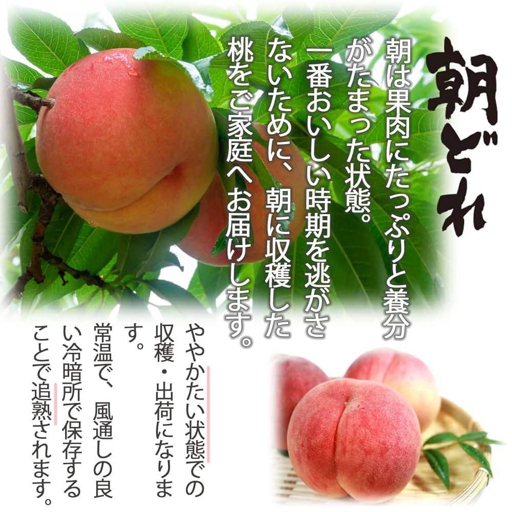 しいもも様 モトブログ】129 Kawasaki 2023年式 Ninja ZX-25R SE KRT