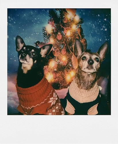 Miniatura 7 de Polaroid Cámara instantánea supercolor 600