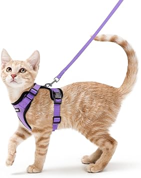 rabbitgoo Cat Harness and Leash Set, Escape Proof Vest, Light Purple