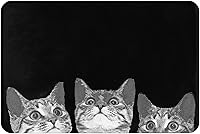 Vista 8 de Tapetes de baño, absorbente y antideslizante, tapete de baño suave, divertido para decoración del hogar, 16 x 24 pulgadas (Happy Camper)