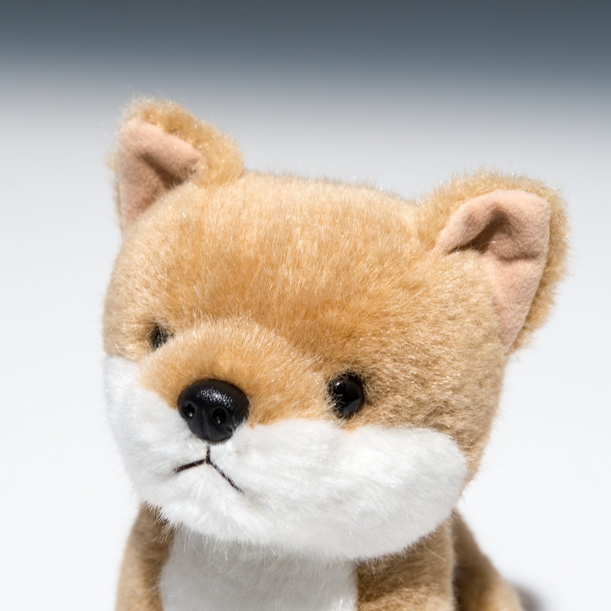 zukke テディベア　ハンドメイド　柴犬 柴犬 チワワ ミニチュアダックスフント 手作りキット 赤ちゃん犬