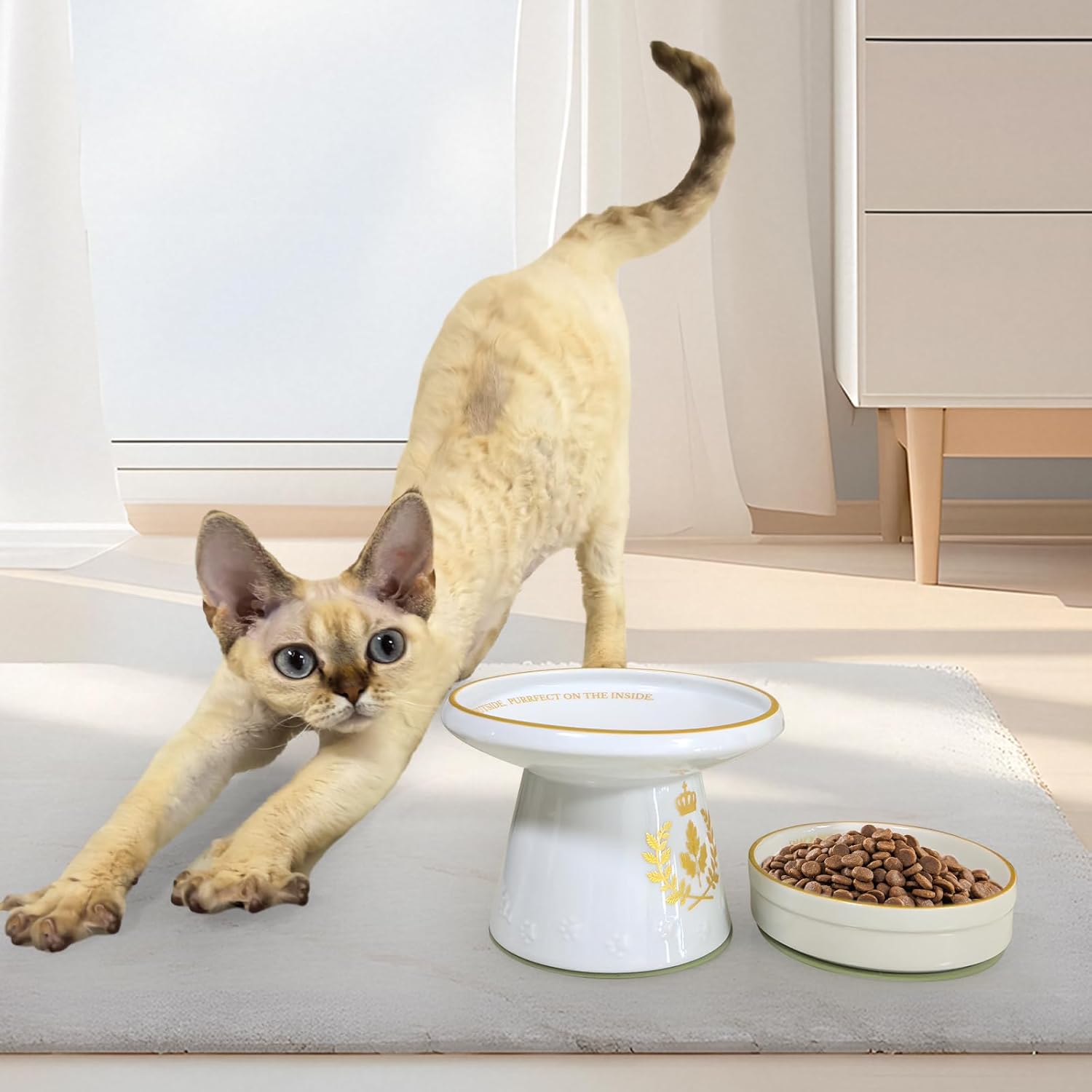 Cinf Ceramic Set of 2 Pet Raised Footed Bowl & Snack Bowl with Champagne Gold Crest Design and Non-Slip Silicone Pads