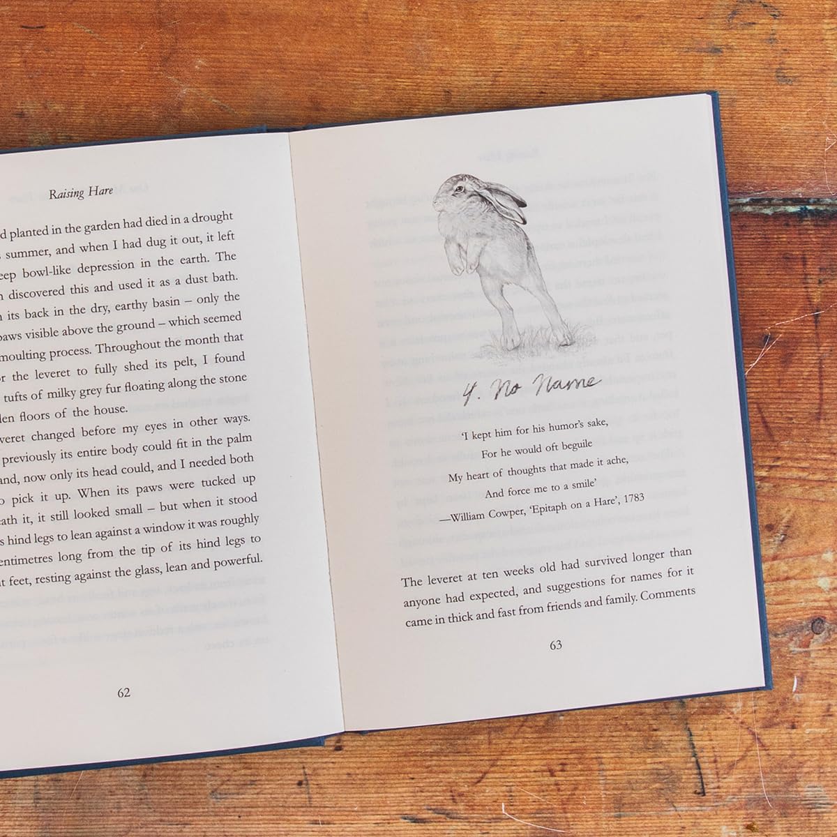 Raising Hare: The heart-warming true story of an unlikely friendship - Image 4