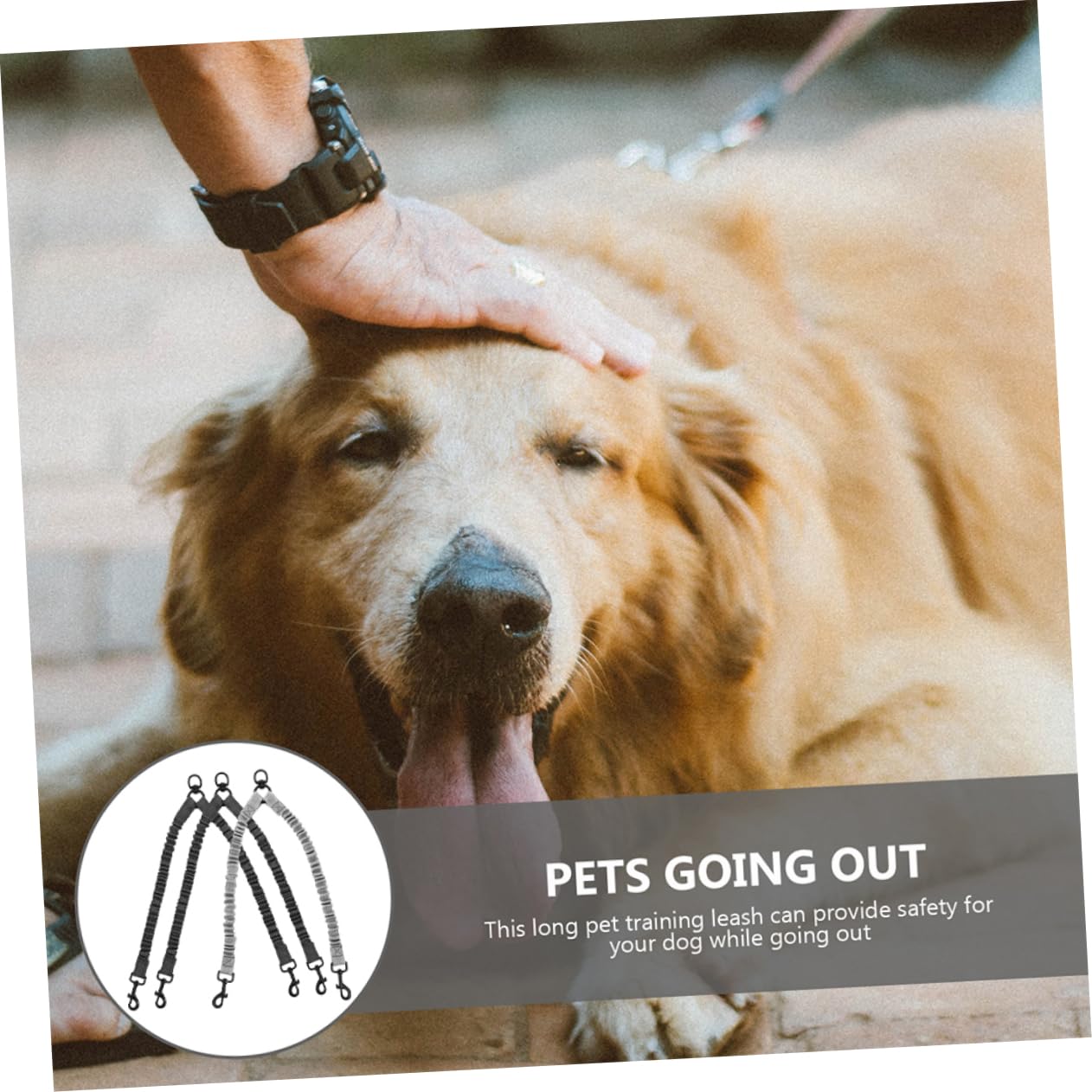 Lot De 3 Laisses pour Chien avec Corde De Traction Réfléchissante pour Course en Extérieur