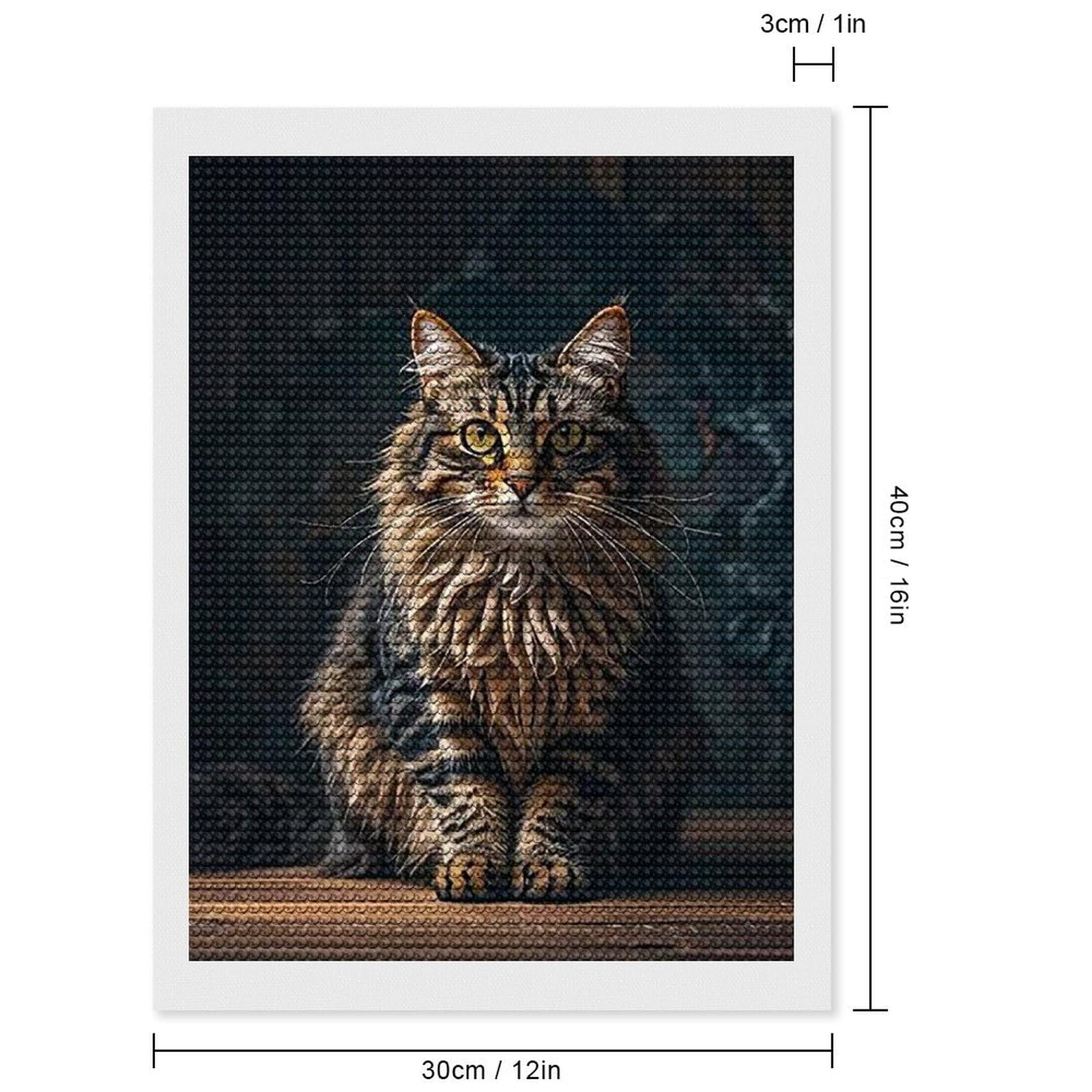 Amazon.com: STVNKML 5D Diamond Painting Kit for Adults, Full Drill