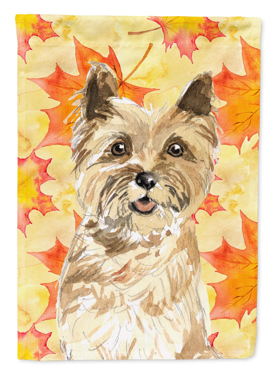 Drapeau Cairn Terrier grand format de maison motif automne feuilles multicolores