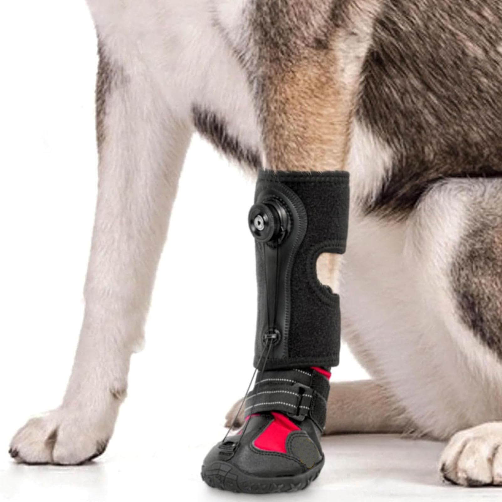 SENECESLI Attelle de Pied Tombante avec Bobine pour Chien, Attelle de Pied de Chien Respirante avec Semelle Antidérapante pour Problèmes de, Arthrite, Chaussette Hautement élastique (M)
