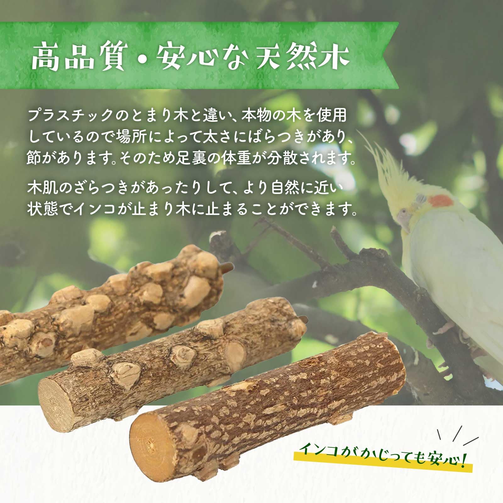Amazon | インコ おもちゃ 木製 安全 とまり木 かじり木 噛む 遊び