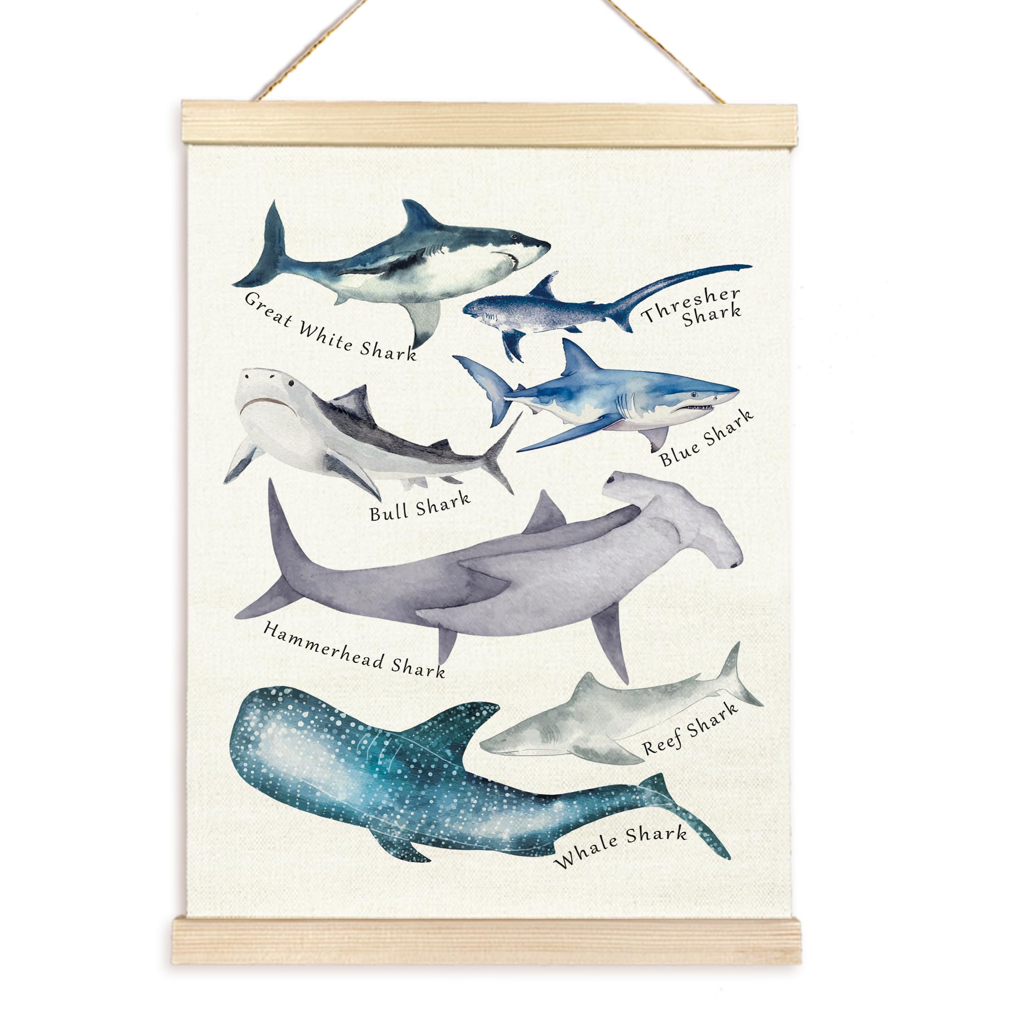 TAEDIN Watercolor Shark Ocean Animal Chart Poster Hanger Frame, Educational Shark Decor Wood Wooden Canvas Artwork Print, Sea Life Wall Painting for