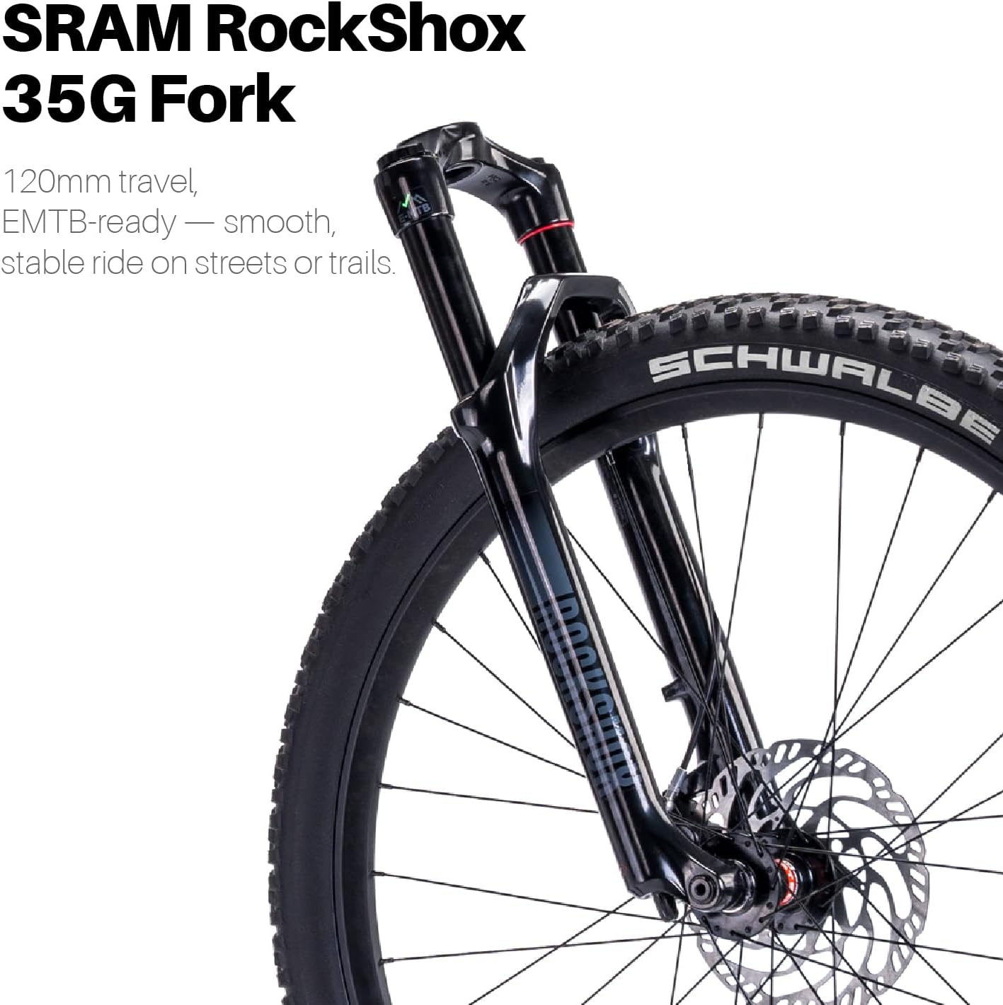 Paladin Electric Mountain Bike, 29-inch, Adult, Carbon Fiber Frame, Front Suspension, 750W(Peak) Motor, Class 1 E-Bike (Dawn Silver, L)