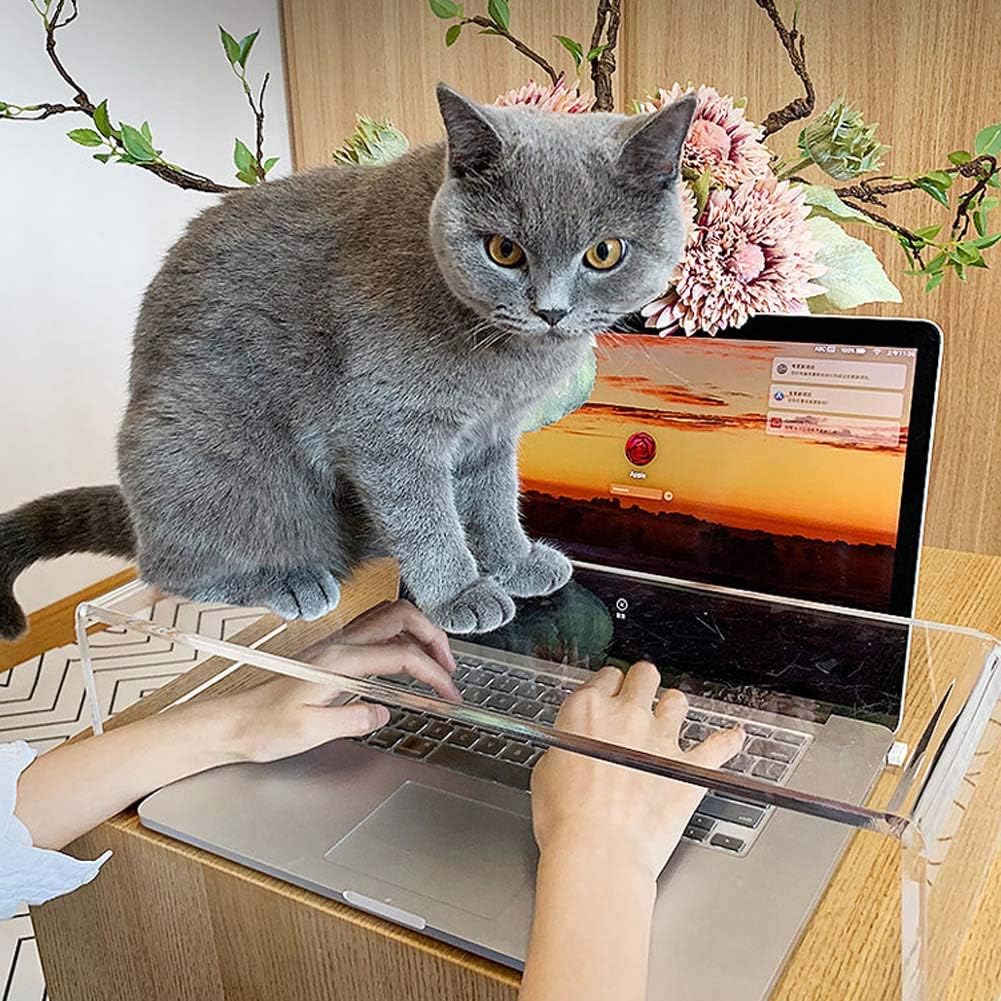 Copertura protettiva per tastiera in acrilico trasparente, anti-gatto, 2 in 1, protezione per ponte tastiera e supporto per monitor