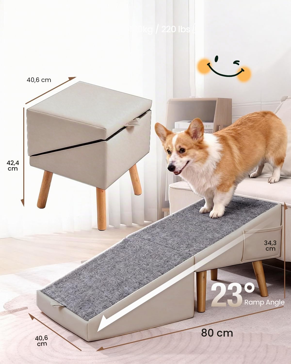 40 cm Rampe pour Chien pour Canapé et Lit 2 en 1, Inclinaison Douce 23° | Escalier pour Animal de Compagnie, pour Petits et Moyens Chiens et Chats, Rampe Antidérapante pour Chien Senior ou Blessé
