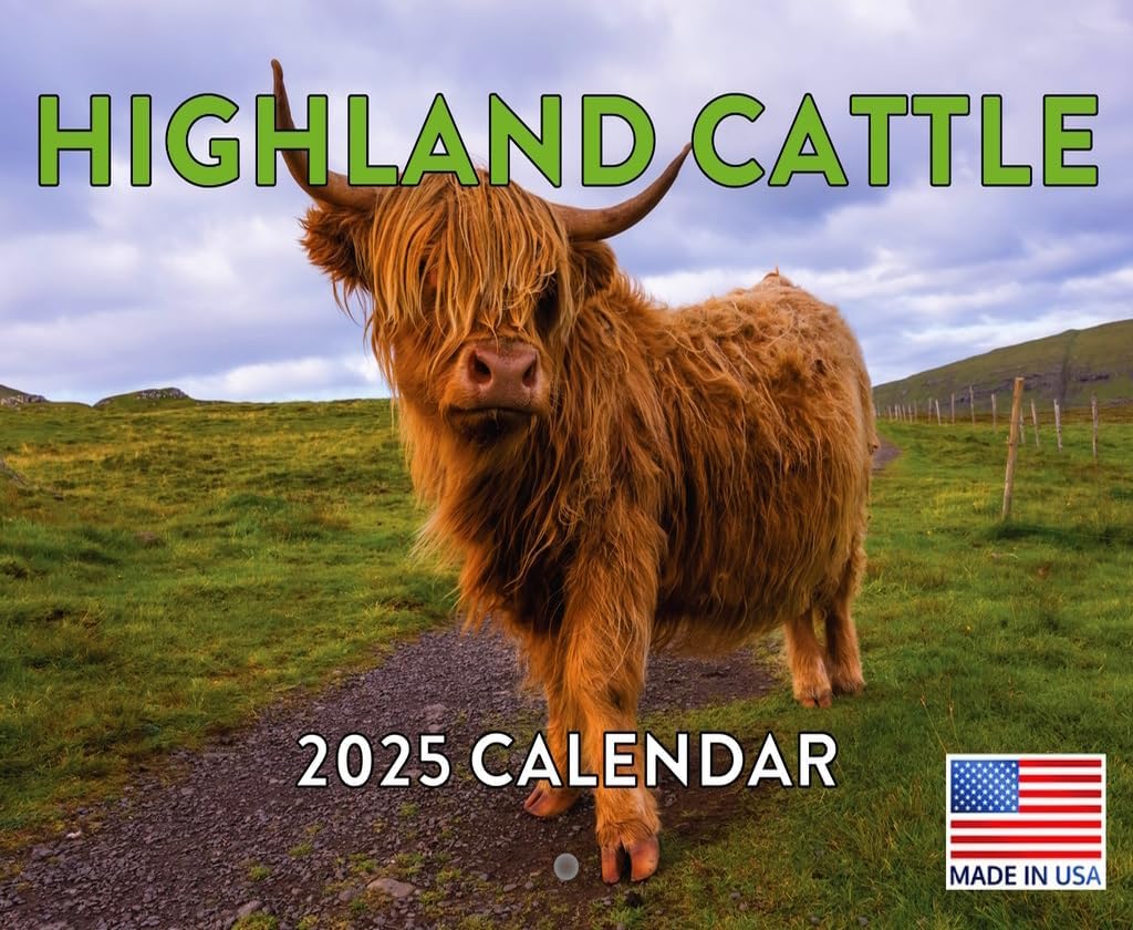 Highland Cow Calendar 2027 Scottish Gifts Hyland Hairy Coo Monthly Wall Calender 12 Month