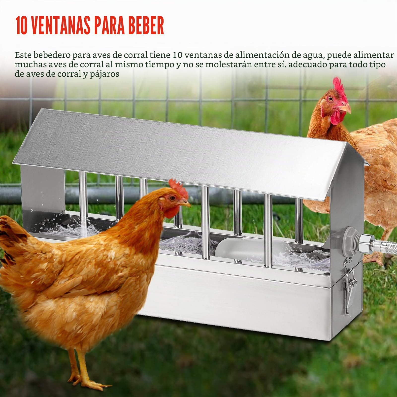 Bebederos Automáticos para Gallinas 2.6L Dispensador de Agua para Palomas de Acero Inoxidable con Válvula de Flotador y Manguera de Acero Inoxidable de 80cm Fuente para Aves de Corral