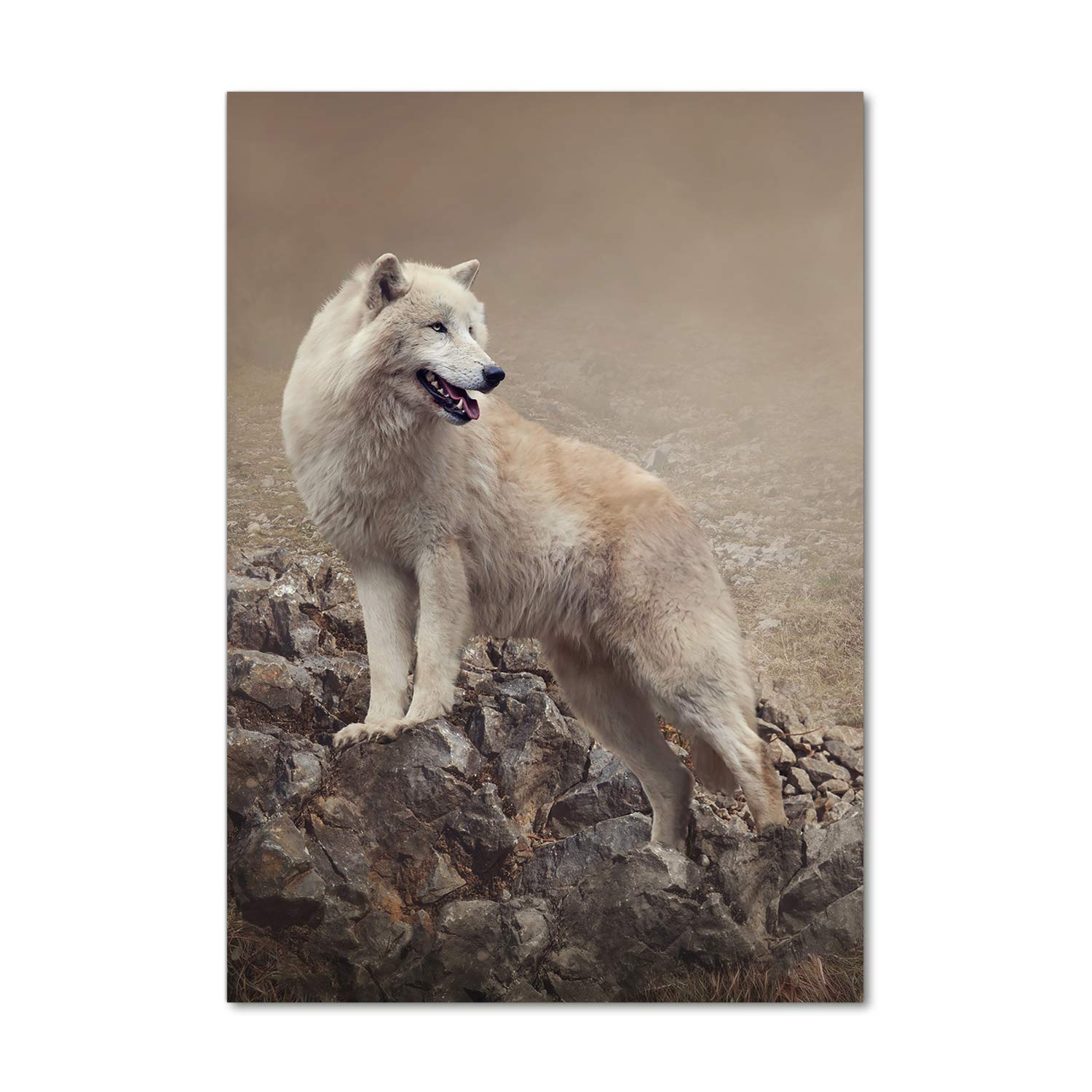 Animaux loup sur le rocher imprimé sur plexiglas beige 70x100 Tulup