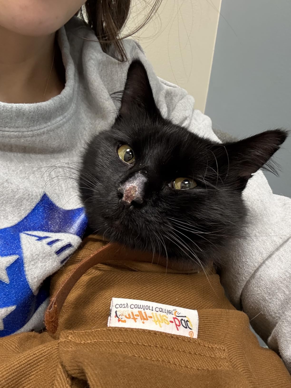 Cat Carrier and Cat Restraint Bag photo review