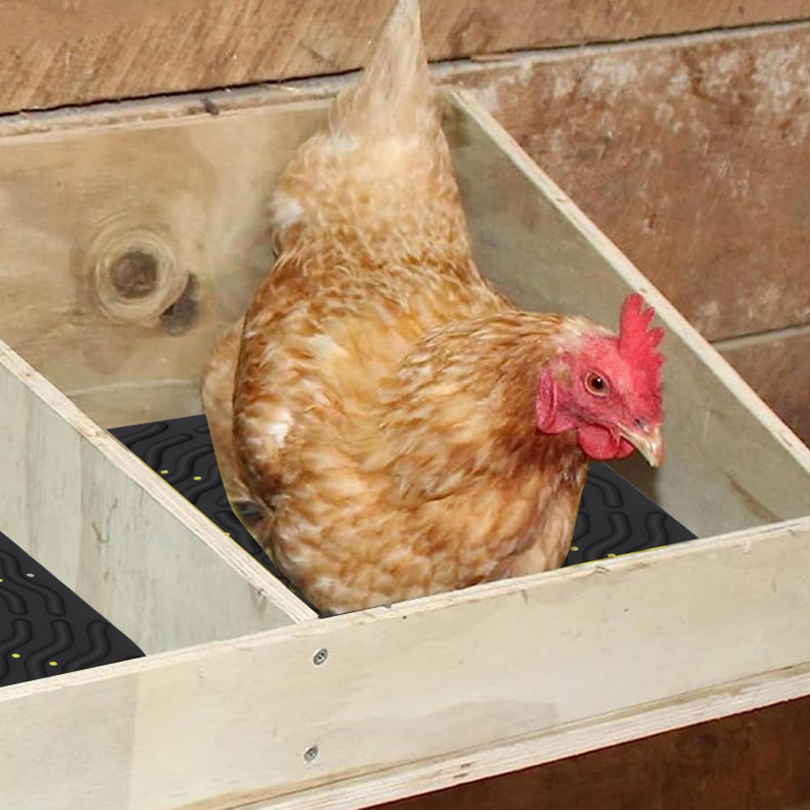 Padres de Cajas de anidación, Almohadillas de anidación de Pollo | de gallina de anidación de cooperativa - Ropa de Cama elástica Suave de Silicona 4X Lavable para Galletas de gallas de gallina.