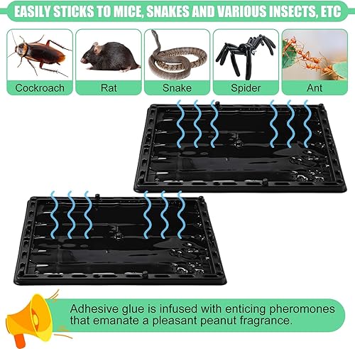 Miniatura 3 de Qualirey 6 trampas de pegamento para ratones de ratas gigantes de 10 x 10.8 pulgadas, trampas adhesivas para ratones con sabor a maní, feromonas,