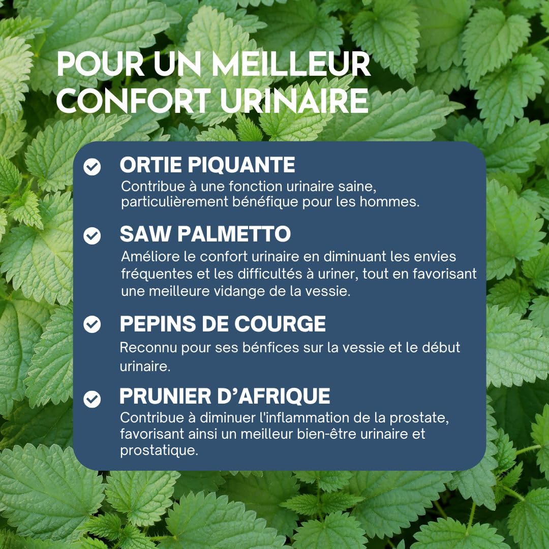 Formule Prostate et Confort urinaire - Contribue au bon fonctionnement de la prostate - Ortie, Palmier nain, Prunier d'Afrique, Extrait de Courge, Zinc - 100% Naturel - 60 gélules vegan.