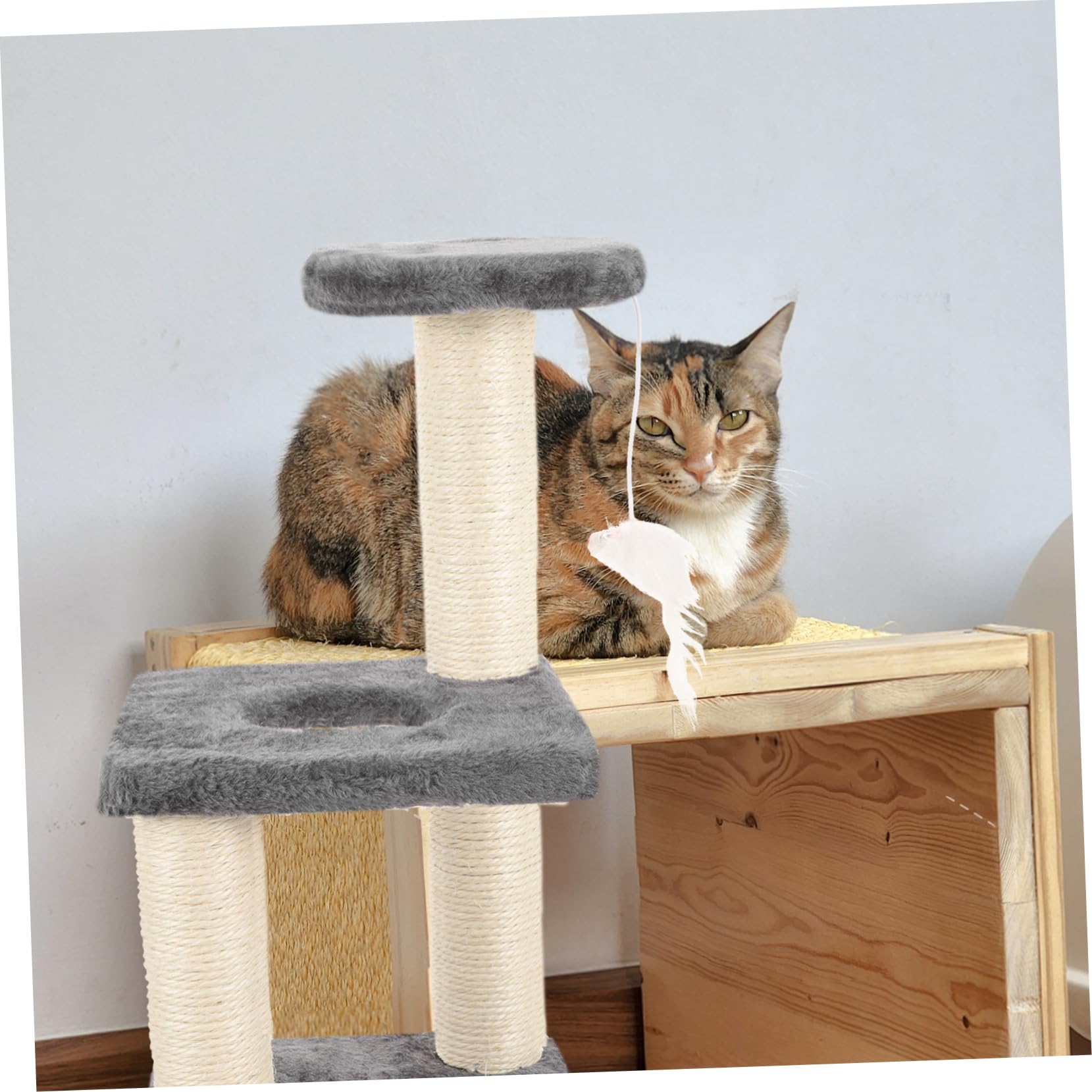 Abaodam Household Kitten Scratching Post Secure Reusable Cat Scratcher Board for Indoor Play Exercise Stylish Design for