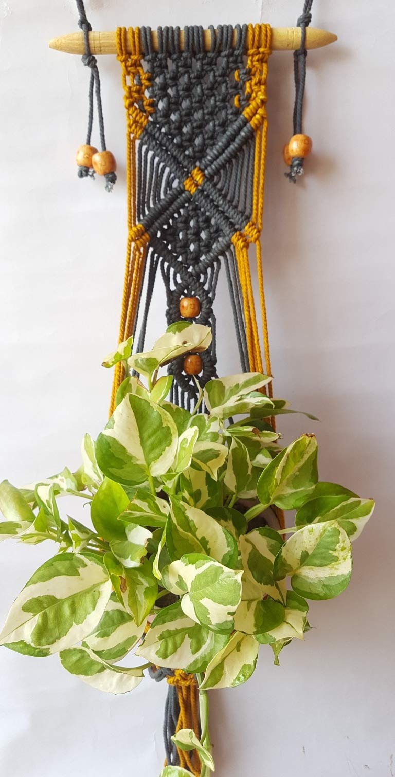 Zippy Flora Macrame Handmade Plant Hanger, Mustard & Blue (ZF150573) (B07X8WPVLD) Amazon Price History, Amazon Price Tracker