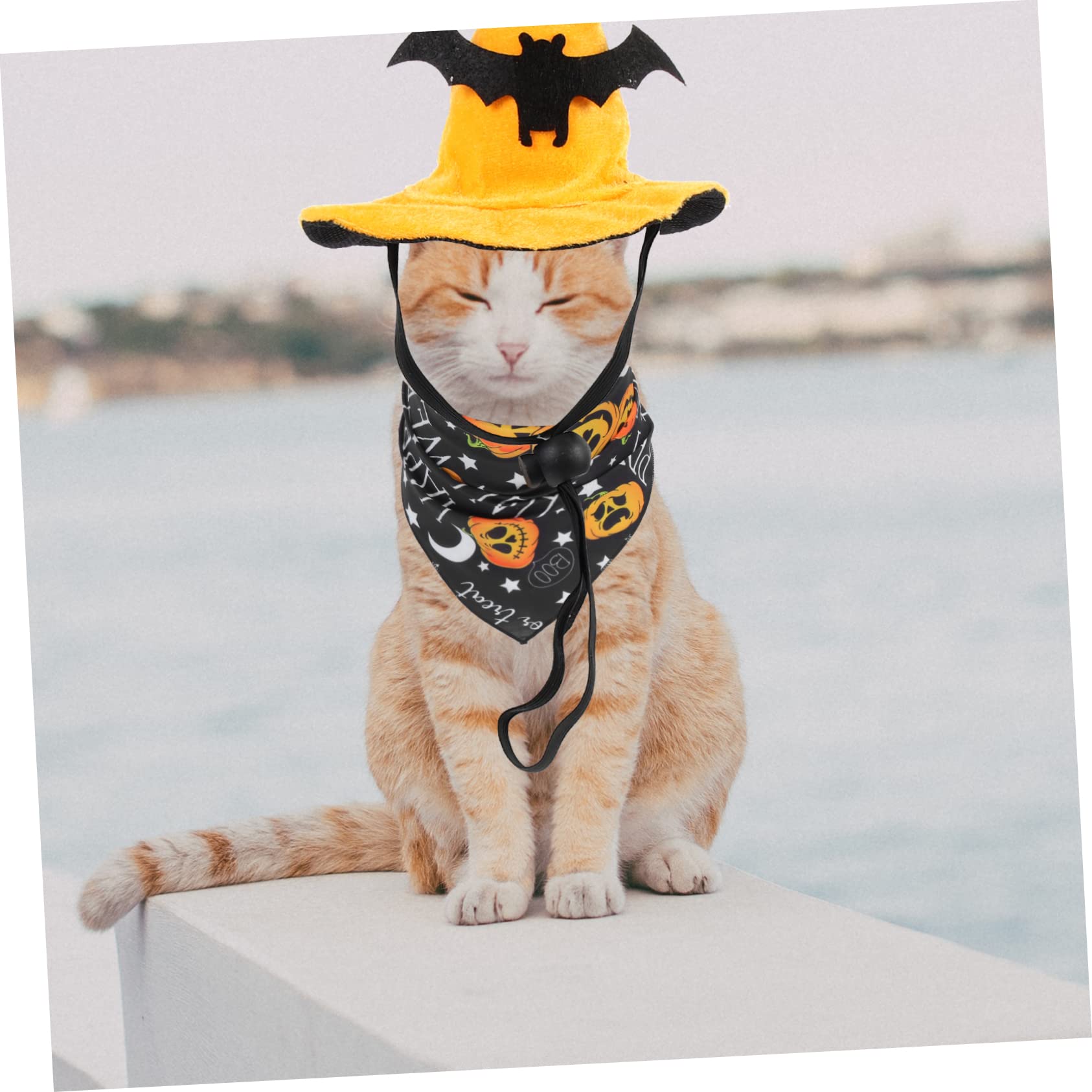 BESPORTBLE 5juegos Disfraz De Halloween para Mascotas Sombrero De Calabaza y Bandana Decorativa Conjunto para Gatos y Perros para Fiestas y Fotografía