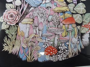 Amazon.co.jp: ヒグチユウコxホルベイン ヒグチユウコ ブリキの