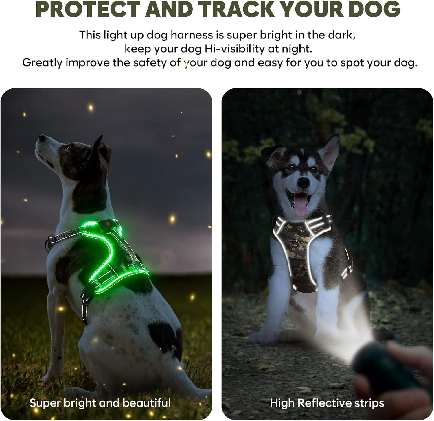 BiPawTi LED Light Up Dog Harness for Safety Night Walking, Glow in the Dark Soft Mesh Dogs Vest Lighted USB Rechargeable - Reflective Harness for Dogs, Illuminated No Pull Dog Vest (Green, XL)