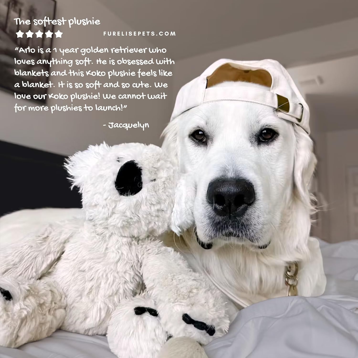 Fur Elise Koko Maxi Plushie – Cozy Koala Dog & Cat Toy | Ultra-Soft Faux Fur with Crinkle, Squeaker & Jingle | Cuddly Playtime Favorite & Stylish Snuggle Buddy