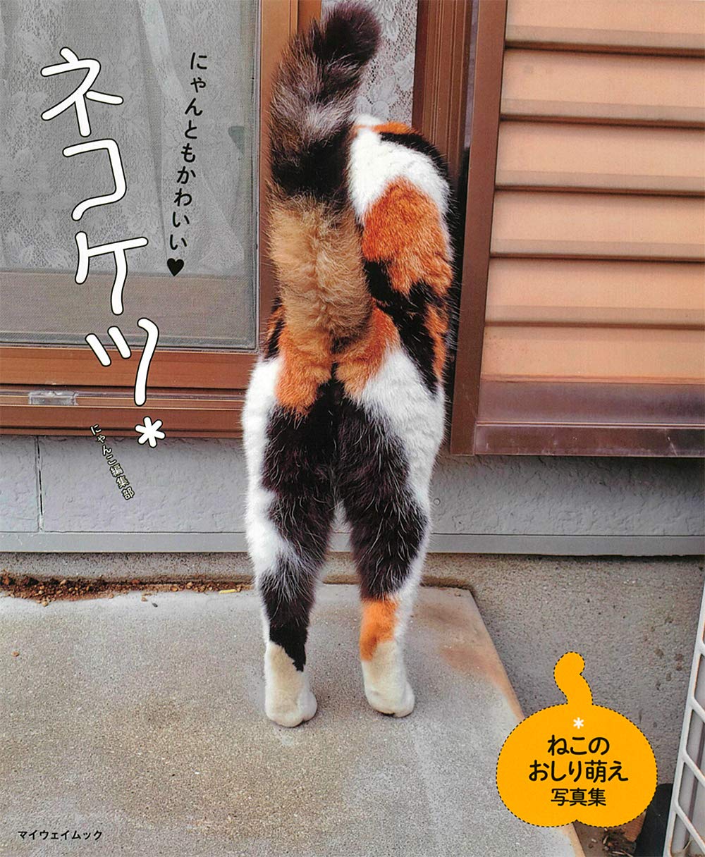ネコケツ マイウェイムック にゃんこ編集部 本 通販 Amazon