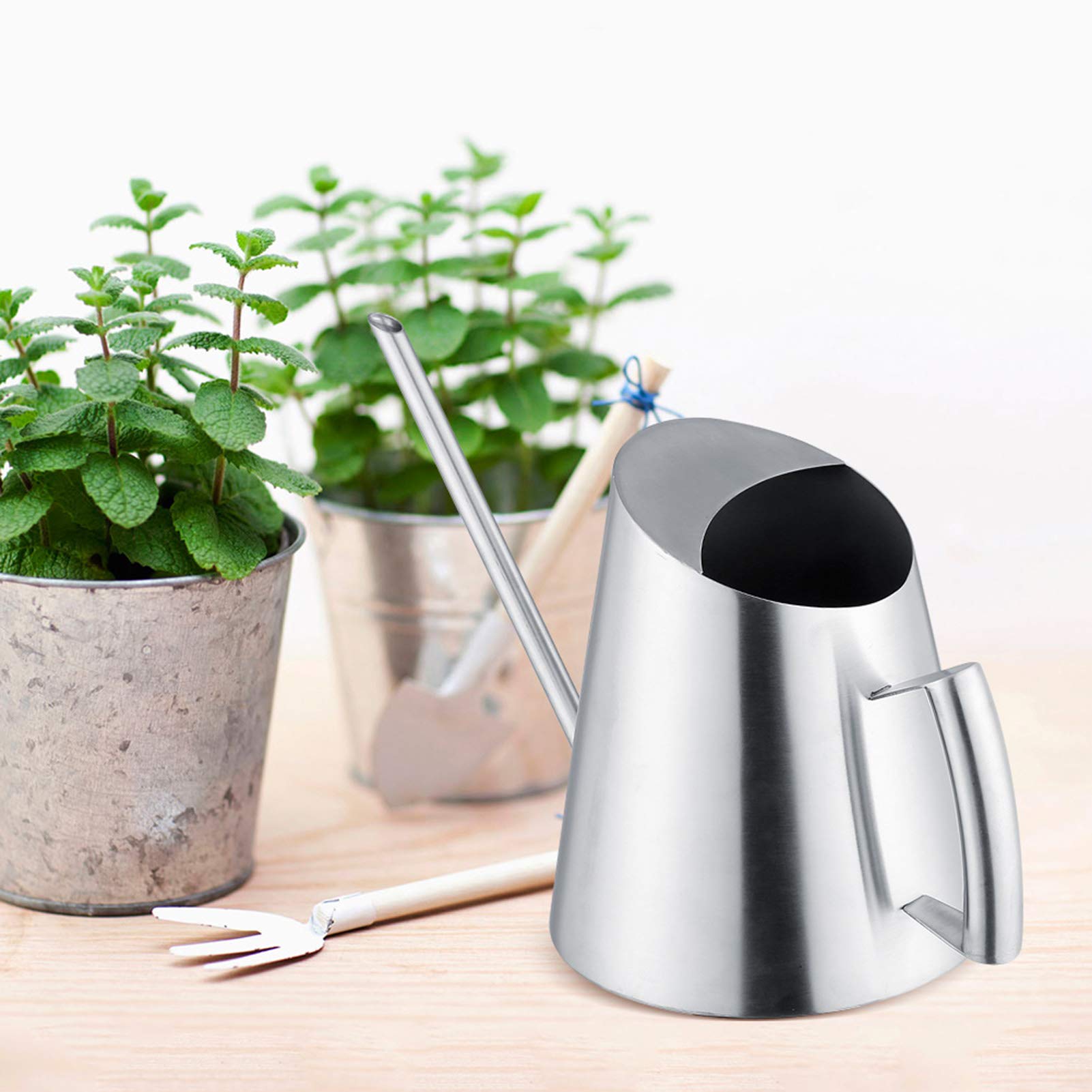 Arrosoir en métal - 2,5 l - Arrosoir en acier inoxydable - Arrosoir pour plantes de jardin