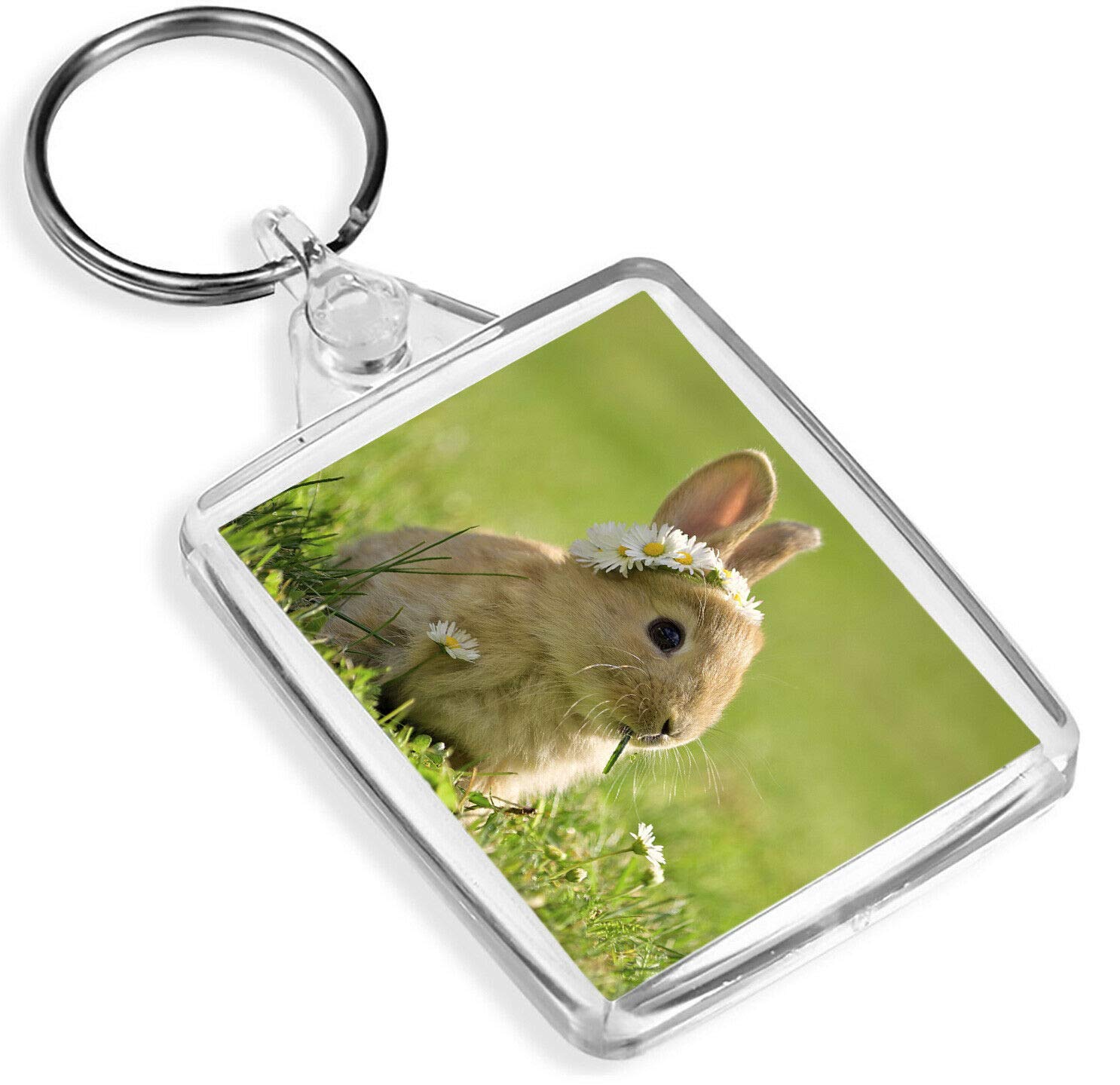 Beautiful Baby Bunny Keyring -IP02- Rabbit Daisy Flower Bunnies 15575