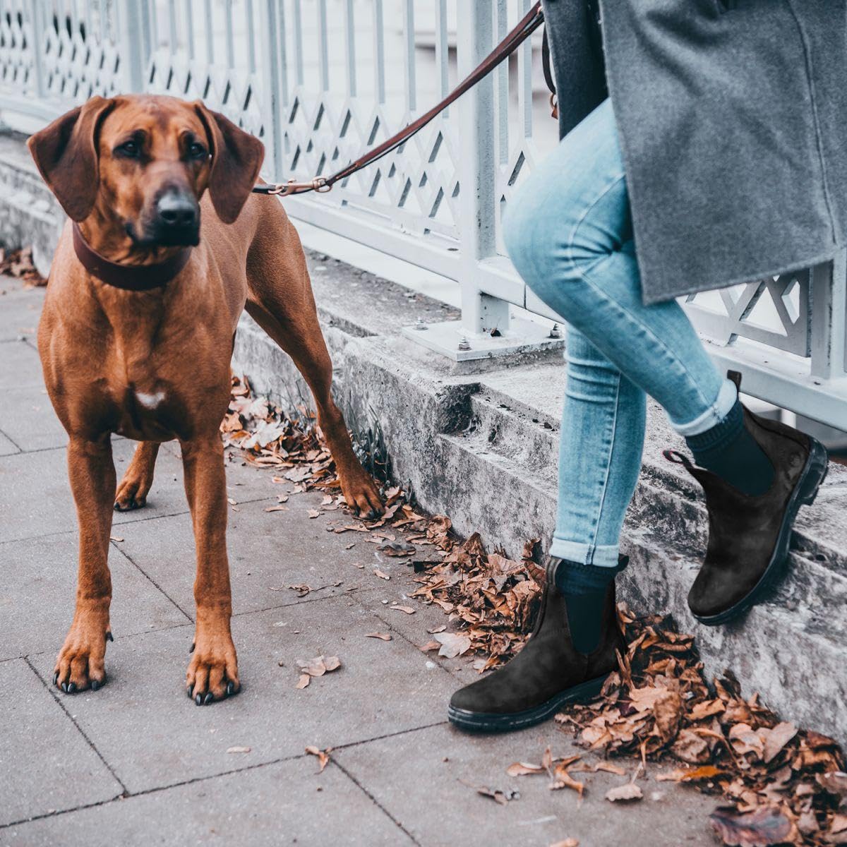 Stiefelette »1888 AUSTRALIAN CLASSIC MERINO« Handmade in Portugal | Merino Futter | Robustes Oberleder | Sohle Öl- u. Säureresistent | Boots für Outdoor, Gassi, Stall, Reiten, Reisen
