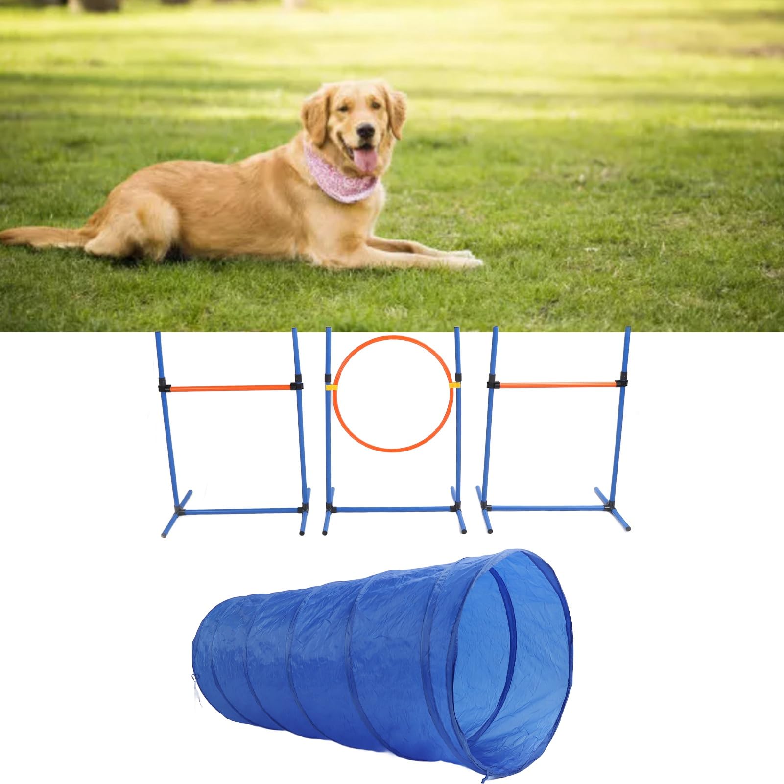Kit de Entrenamiento de Agilidad para Perros con túnel, aro de Salto, Postes, Equipo de obstáculos para Todos los Niveles de Habilidad, Duradero para Uso en Patio Trasero