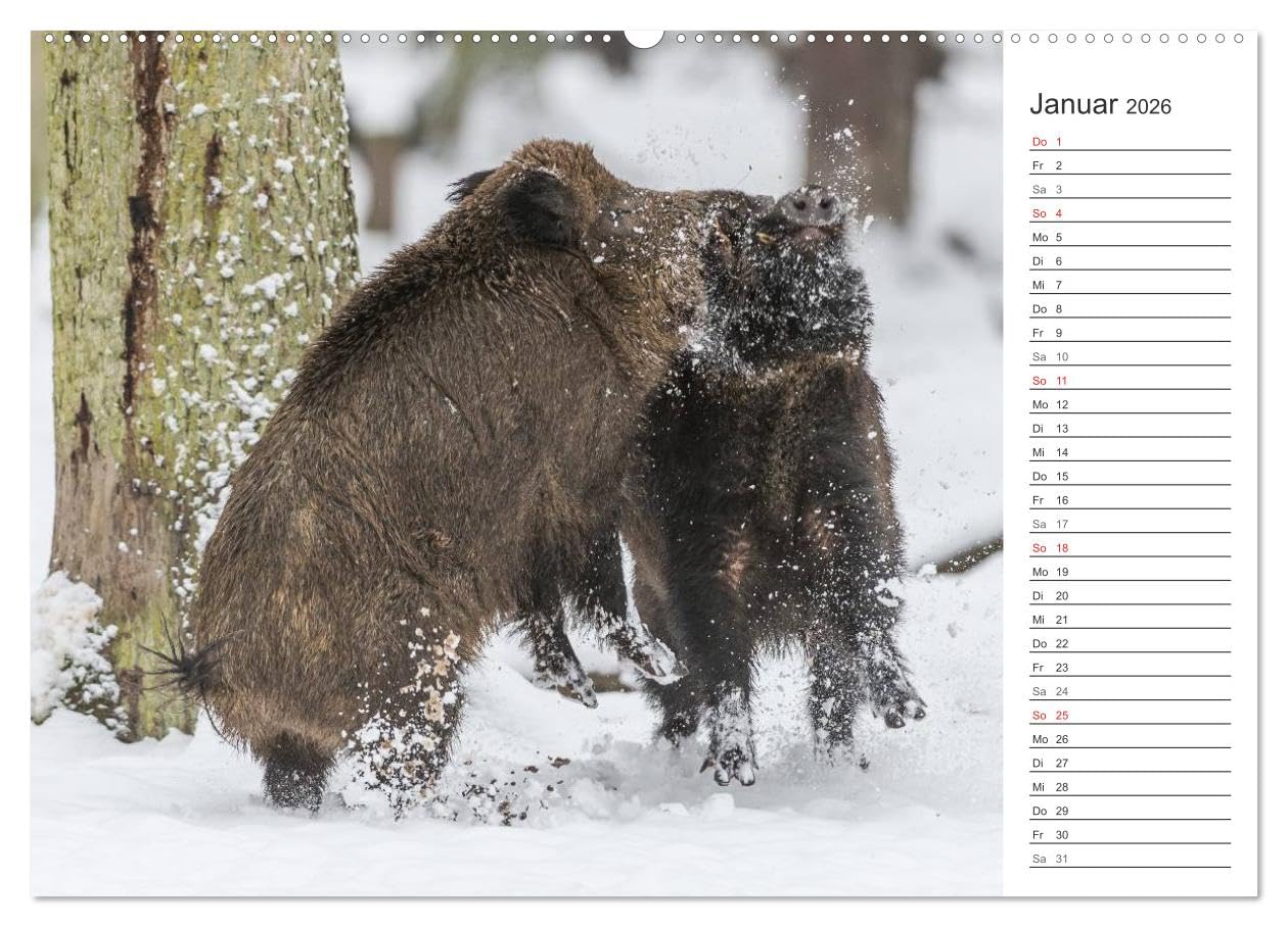 Emotionale Momente: Wild und Jagd. (hochwertiger Premium Wandkalender 2026 DIN A2 quer), Kunstdruck in Hochglanz: Der Planer für alle Jäger und Jagdfreunde. (CALVENDO Hobbys)