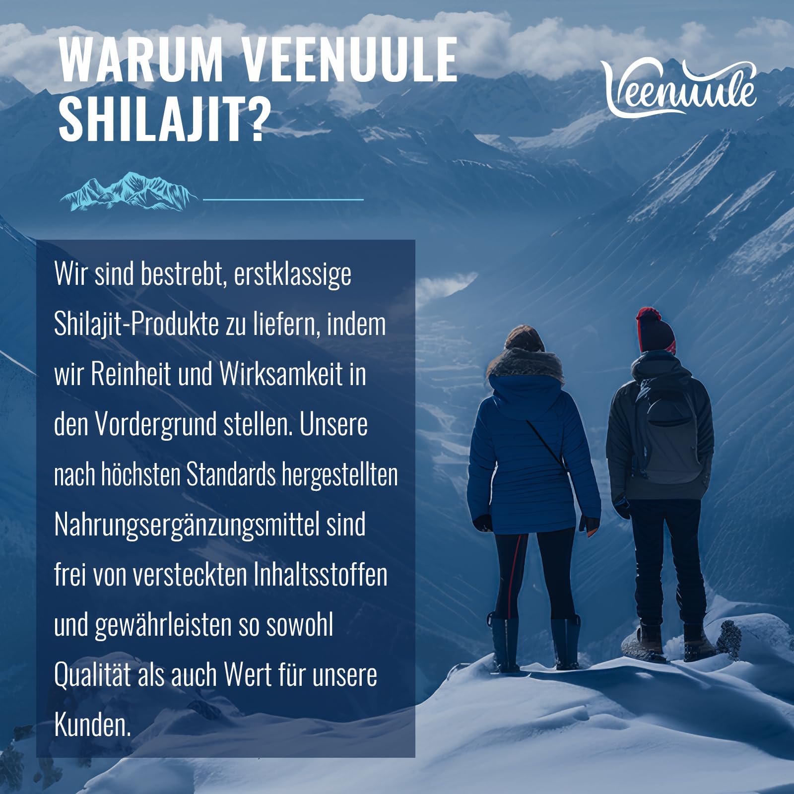 Shilajit Tabletten 30.000 mg Hochdosiert, 100 % Reines – Original Himalaya Shilajit, Reich an Fulvinsäure & 85+ Spurenelementen (60 stück (2er Pack))
