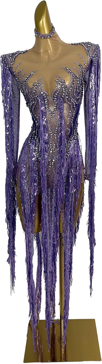 Women Purple Long Fringe Latin Dance Dress Rhinestone Illusion Mesh Gown with Flowing Tassels Nightclub Performance Costume