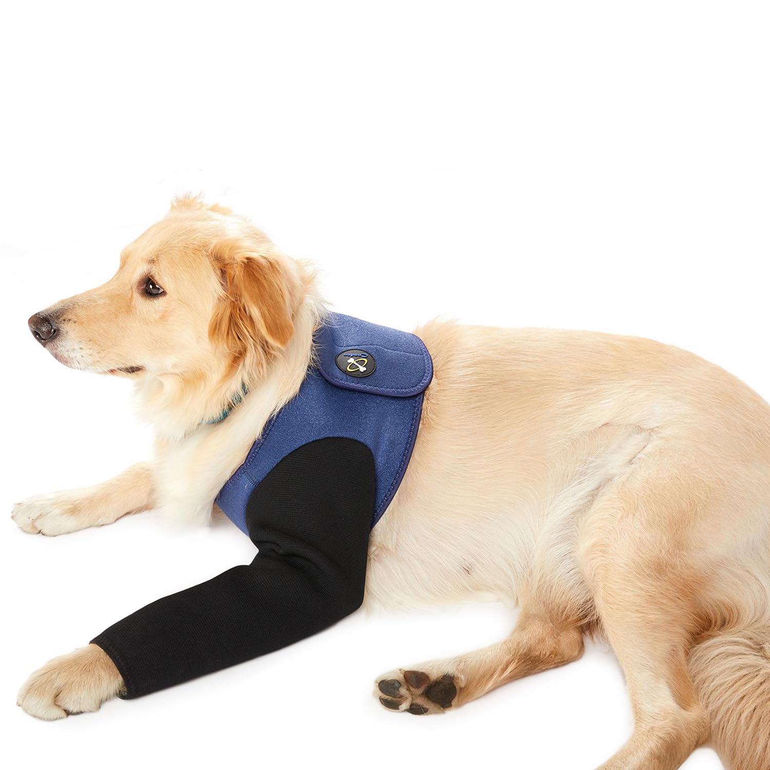 COODEO Dog Recovery Suit, Cone Collar Alternative, Abrasion Resistant Dog Recovery Sleeve, Washable 2.5mm Thick and Waterproof, Pet Wounds Prevent Licking, Bite, Keep Dry (Blue, XS)